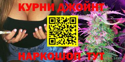 крисы Коммунар